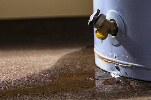 Best Water damage restoration near me  in Tiffin, OH