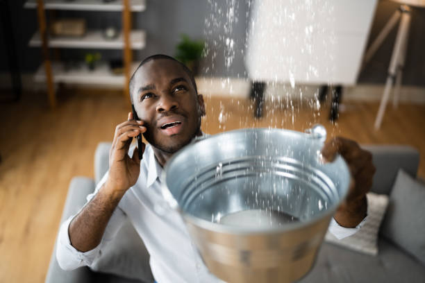 Best Sewage cleanup and water damage restoration  in Tiffin, OH