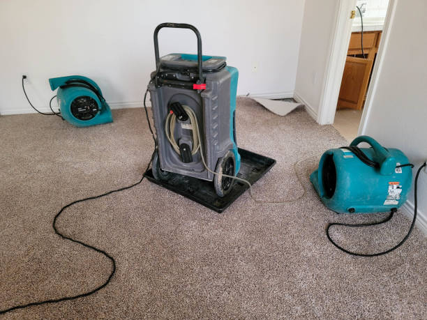 Best Water damage restoration near me  in Tiffin, OH