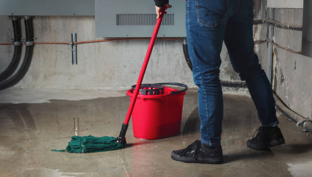 Best Fire Damage Restoration  in Tiffin, OH