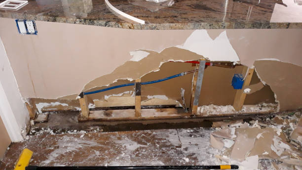 Best Flood restoration services  in Tiffin, OH