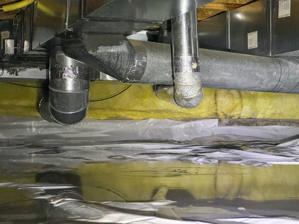 Best Flood damage cleanup  in Tiffin, OH