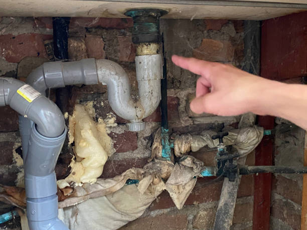 Best Carpet water damage restoration  in Tiffin, OH
