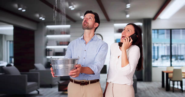 Best Water damage repair service  in Tiffin, OH
