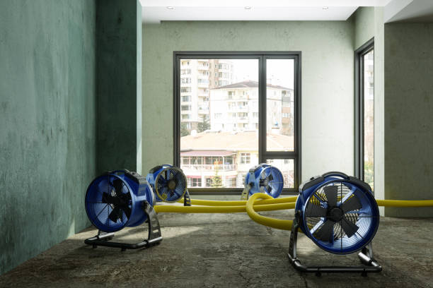Best Ceiling water damage repair  in Tiffin, OH