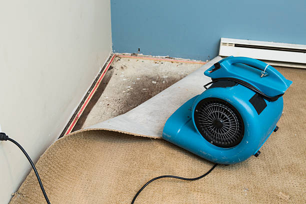 Tiffin, OH Water damage restoration Company